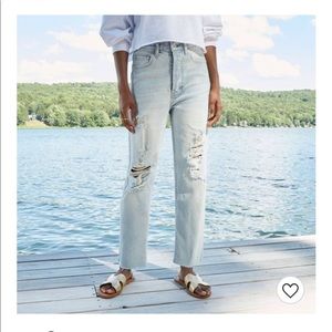 Wild fable distressed mom jeans